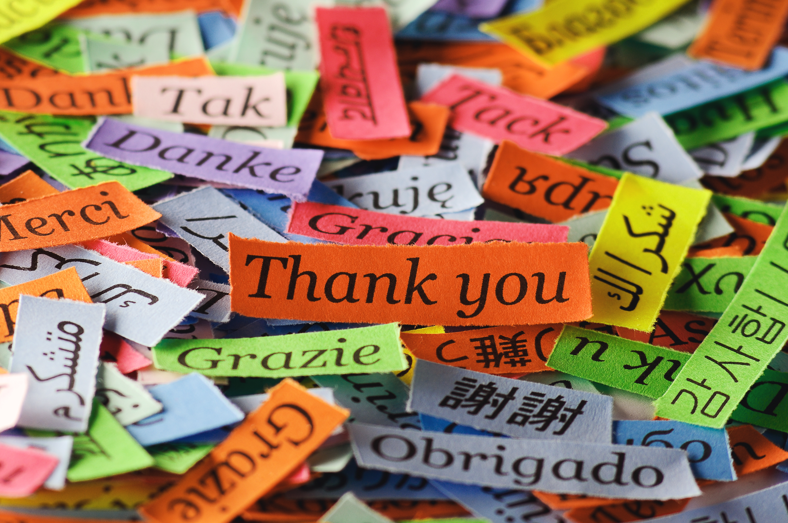 Merci, sur des bouts de papier colorés, écrits dans de nombreuses langues